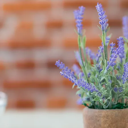 Boutique With Balconies, In Walking Distance To The Sea 아파트 *