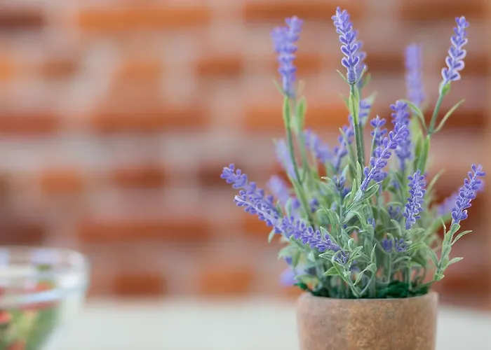 Boutique With Balconies, In Walking Distance To The Sea Lägenhet *